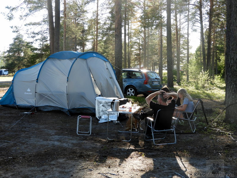 idre camping
